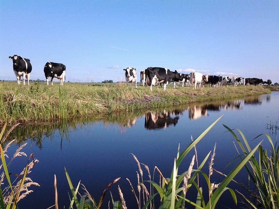 Pensjonat Boerderij Honswijck Weesp Zewnętrze zdjęcie